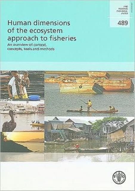 Human Dimensions of the Ecosystem Approach to Fisheries : An Overview: FAO Fisheries Technical Paper 489, Paperback / softback Book