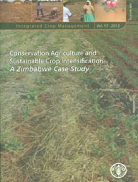 Conservation Agriculture and Sustainable Crop Intensification : A Zimbabwe Case Study, Paperback / softback Book
