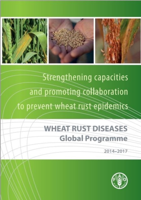 Wheat Rust Diseases Global Programme 2014-2017 : strengthening capacities and promoting collaboration to prevent wheat rust epidemics, Paperback / softback Book