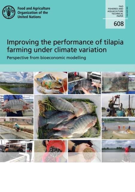Improving the performance of Tilapia : perspective from bioeconomic modelling, Paperback / softback Book