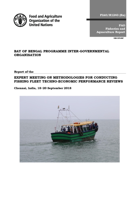 Report of the Expert Meeting on Methodologies for Conducting Fishing Fleet Techno-Economic Performance Reviews : Chennai, India, 18-20 September 2018, Paperback / softback Book