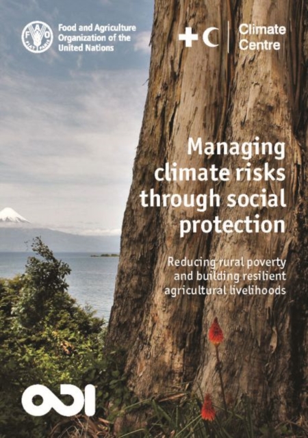 Managing climate risks through social protection : reducing rural poverty and building resilient agricultural livelihoods, Paperback / softback Book