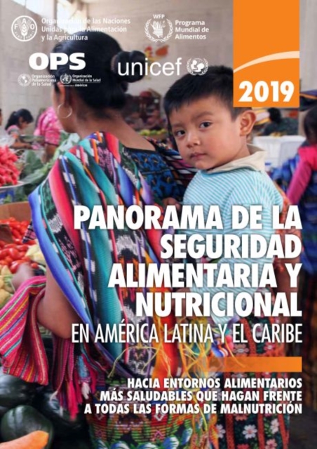 Panorama de la Seguridad Alimentaria y Nutricional en America Latina y el Caribe 2019 : Hacia Entornos Alimentarios mas Saludables que Hagan Frente a Todas las formas de Malnutricion, Paperback / softback Book