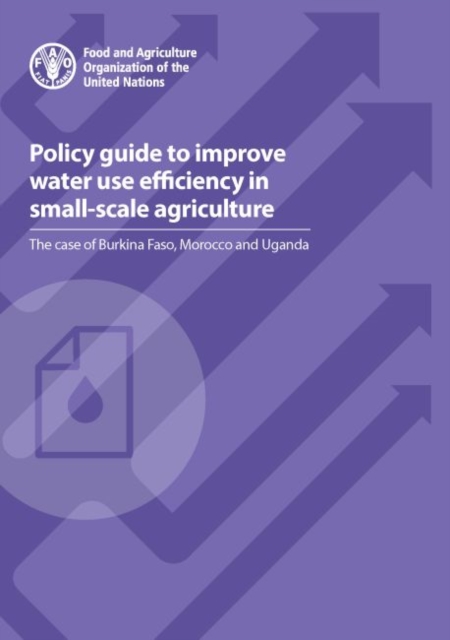 Policy guide to improve water use efficiency in small-scale agriculture : the case of Burkina Faso, Morocco and Uganda, Paperback / softback Book