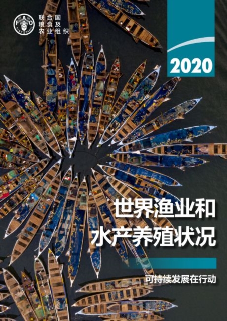 The State of World Fisheries and Aquaculture 2020 (Chinese Edition) : Sustainability in action, Paperback / softback Book