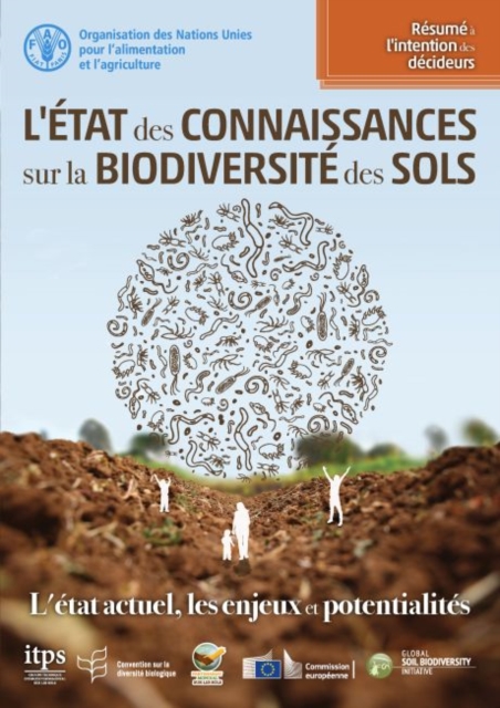 L'etat des connaissances sur la biodiversite des sols : L'etat actuel, les enjeux et potentialites. Resume a l'intention des decideurs, Paperback / softback Book