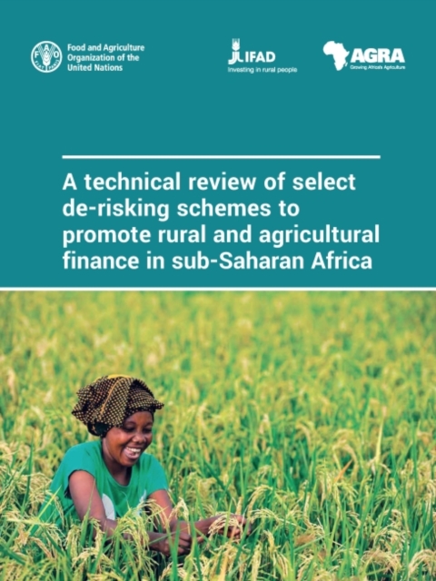 A technical review of select de-risking schemes to promote rural and agricultural finance in sub-Saharan Africa, Paperback / softback Book