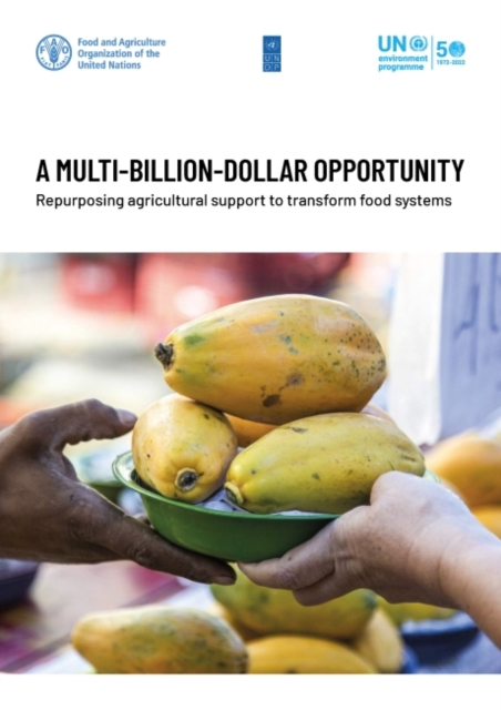 A multi-billion-dollar opportunity : re-purposing agricultural support to transform food systems, Paperback / softback Book