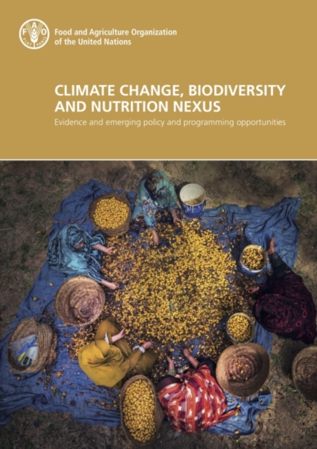 Climate change, biodiversity and nutrition nexus : evidence and emerging policy and programming opportunities, Paperback / softback Book