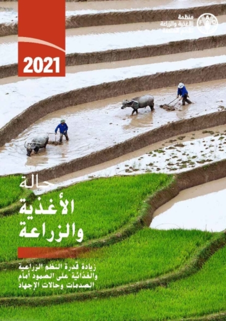 The State of Food and Agriculture 2021 (Arabic Edition) : Making Agri-Food Systems More Resilient to Shocks and Stresses, Paperback / softback Book