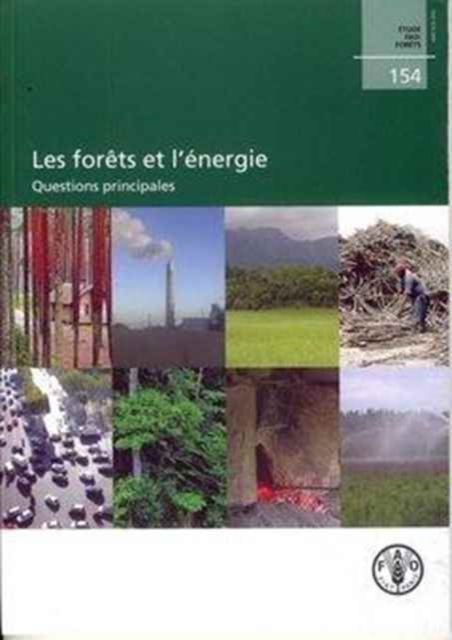 Les forets et l'energie : Questions principales, Paperback / softback Book
