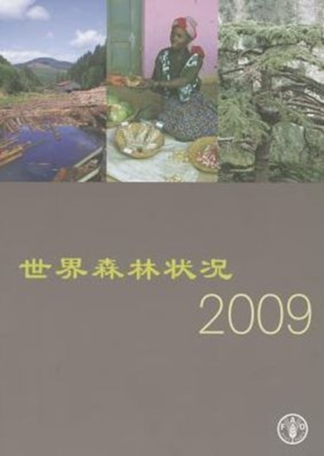 State of the World's Forests 2009, Paperback / softback Book