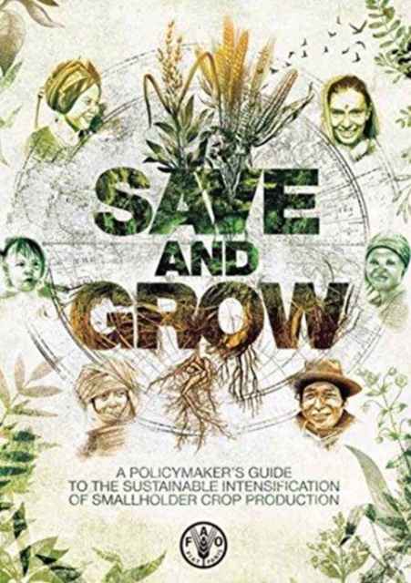 Save and Grow, Chinese Edition : A Policymaker's Guide to Sustainable Intensification of Smallholder Crop Production, Paperback / softback Book
