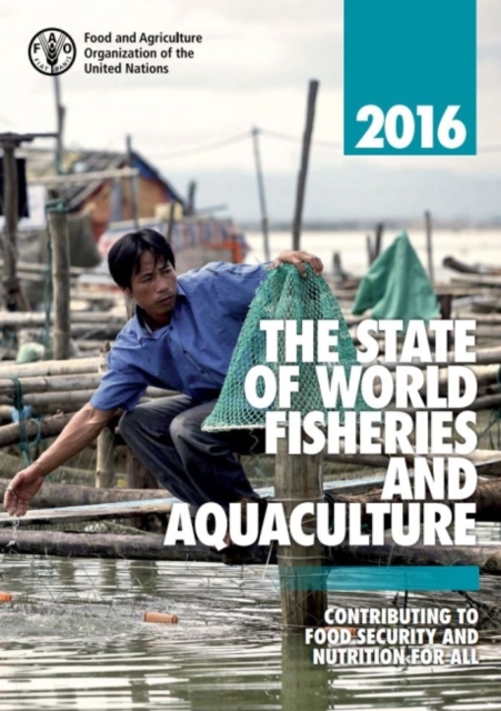 The State of World Fisheries and Aquaculture 2016 (Arabic) : Contributing to Food Security and Nutrition for All, Paperback / softback Book