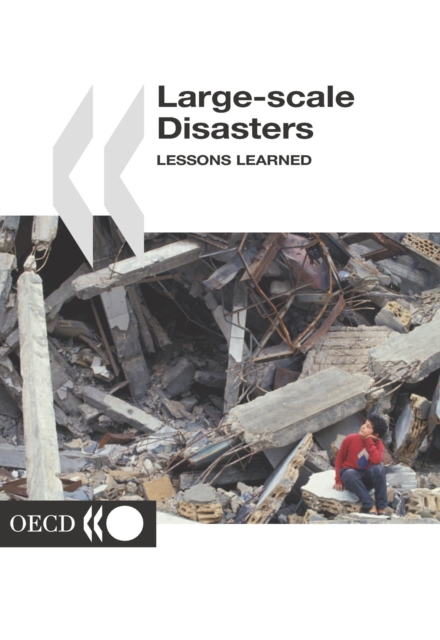 Large-scale Disasters Lessons Learned, PDF eBook