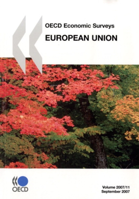 OECD Economic Surveys: European Union 2007, PDF eBook