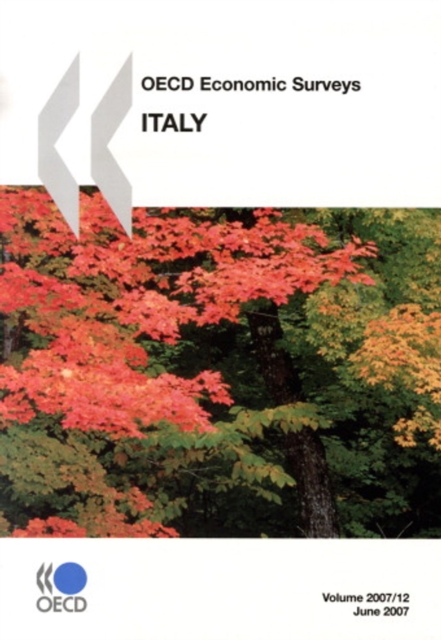 OECD Economic Surveys: Italy 2007, PDF eBook