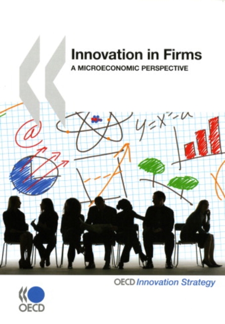 Innovation in Firms A Microeconomic Perspective, PDF eBook