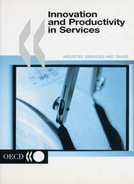 Innovation and Productivity in Services, Paperback Book