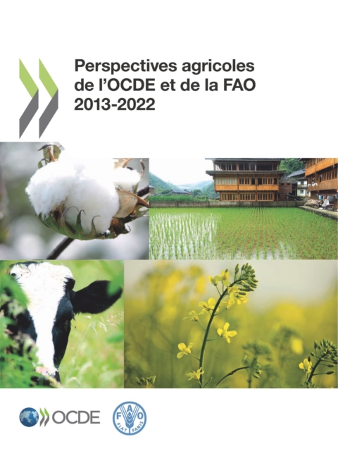 Perspectives agricoles de l'OCDE et de la FAO 2013, PDF eBook
