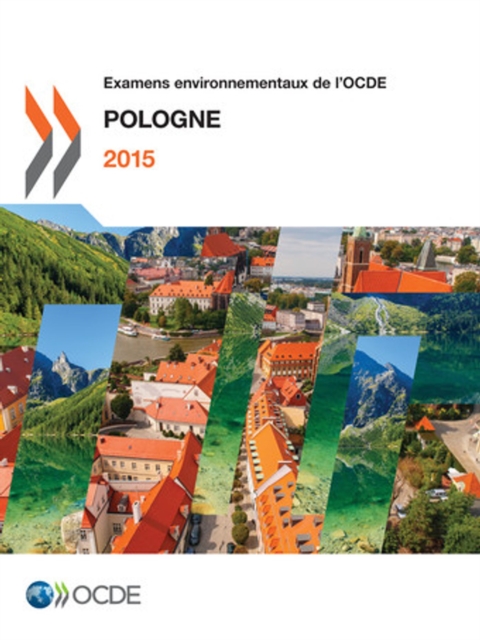 Examens environnementaux de l'OCDE : Pologne 2015, PDF eBook