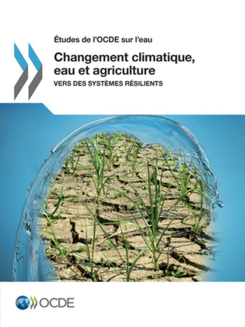 Etudes de l'OCDE sur l'eau Changement climatique, eau et agriculture Vers des systemes resilients, PDF eBook