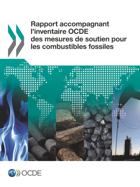 Rapport accompagnant l'inventaire OCDE des mesures de soutien pour les combustibles fossiles, PDF eBook