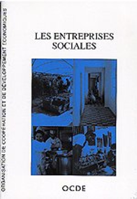 Developpement economique et creation d'emplois locaux (LEED) Les entreprises sociales, PDF eBook