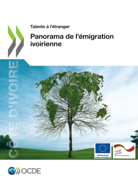 Talents a l'etranger Panorama de l'emigration ivoirienne, PDF eBook