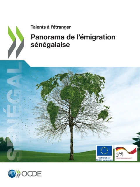 Talents a l'etranger Panorama de l'emigration senegalaise, PDF eBook