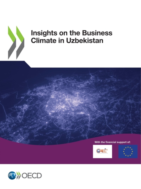 Insights on the Business Climate in Uzbekistan, PDF eBook