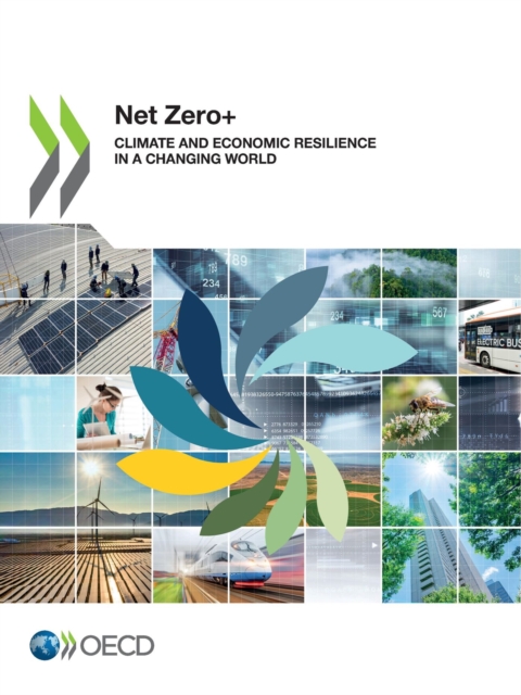 Net Zero+ Climate and Economic Resilience in a Changing World, PDF eBook