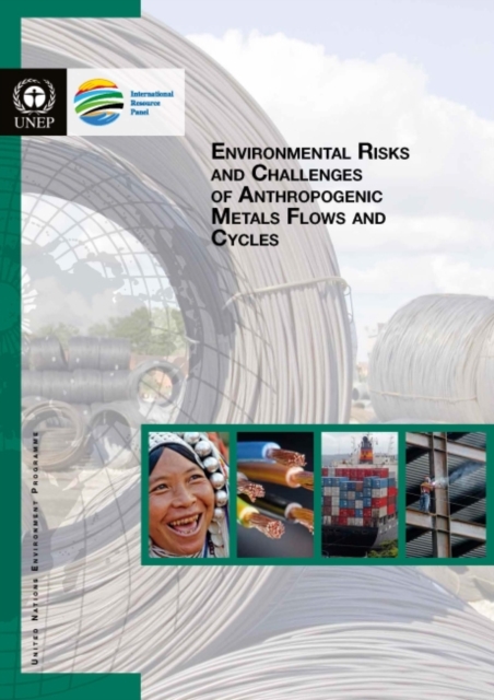Environmental risks and challenges of anthropogenic metals flows and cycles, Paperback / softback Book