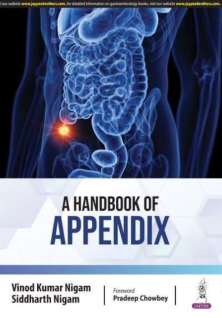 A Handbook of Appendix, Paperback / softback Book