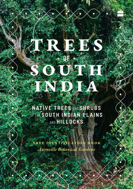 Trees of South India, Paperback / softback Book