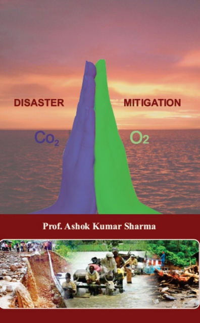 Disaster Mitigation, EPUB eBook