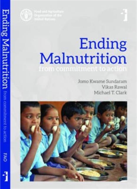 Ending Malnutrition – From Commitment to Action, Paperback / softback Book