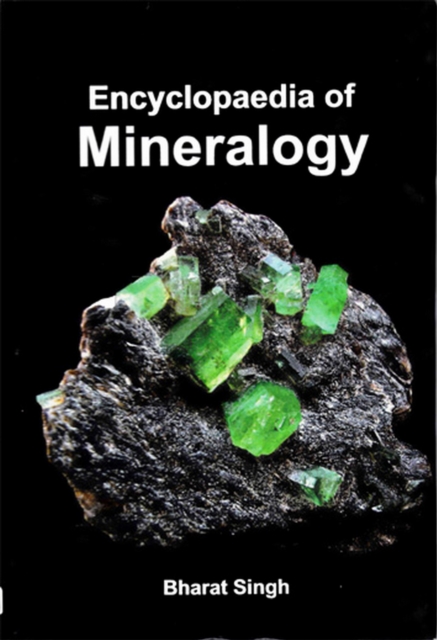 Encyclopaedia Of Mineralogy, PDF eBook