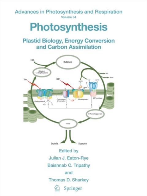 Photosynthesis : Plastid Biology, Energy Conversion and Carbon Assimilation, PDF eBook