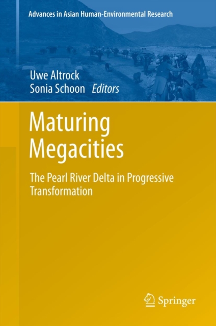 Maturing Megacities : The Pearl River Delta in Progressive Transformation, Hardback Book