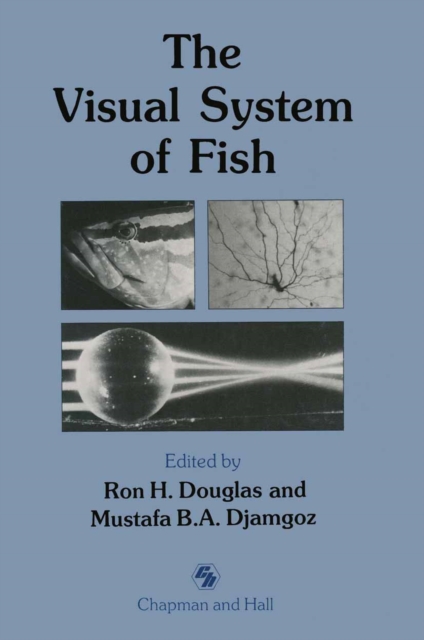 The Visual System of Fish, PDF eBook