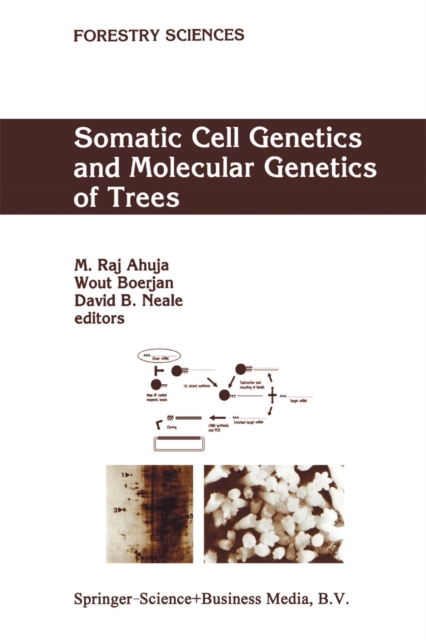 Somatic Cell Genetics and Molecular Genetics of Trees, PDF eBook