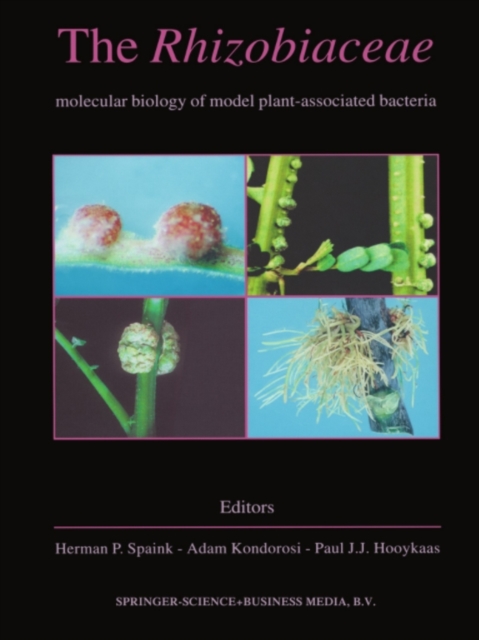 The Rhizobiaceae : Molecular Biology of Model Plant-Associated Bacteria, PDF eBook