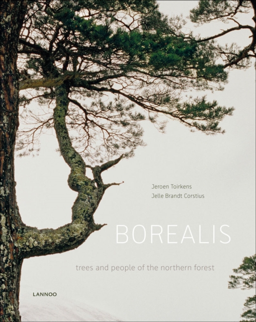 Borealis : trees and people of the northern forest, Hardback Book