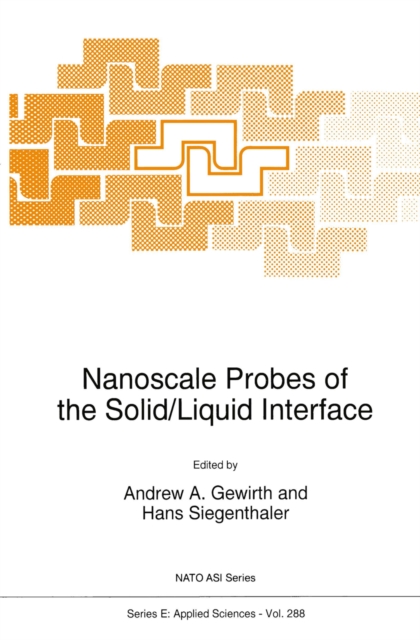 Nanoscale Probes of the Solid/Liquid Interface, PDF eBook
