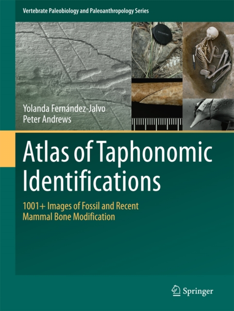 Atlas of Taphonomic Identifications : 1001+ Images of Fossil and Recent Mammal Bone Modification, PDF eBook