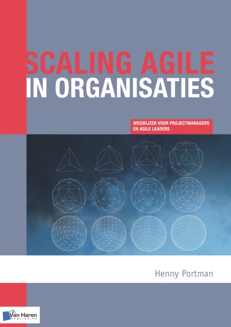 Scaling agile in organisaties, Paperback Book