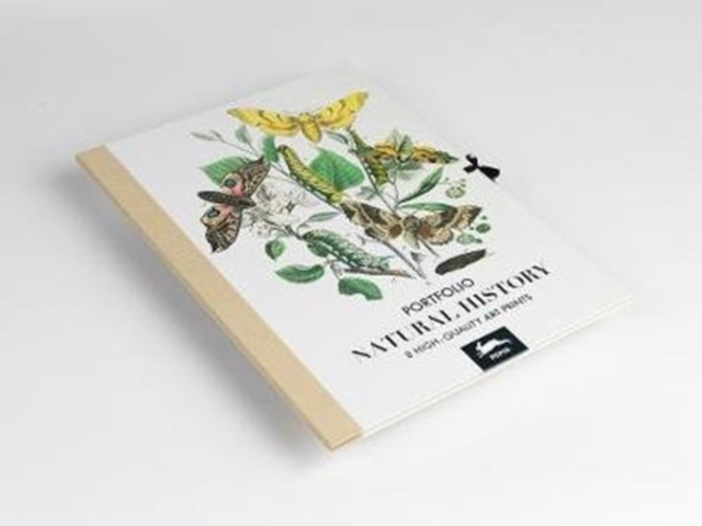Natural History : Art Portfolio, Hardback Book