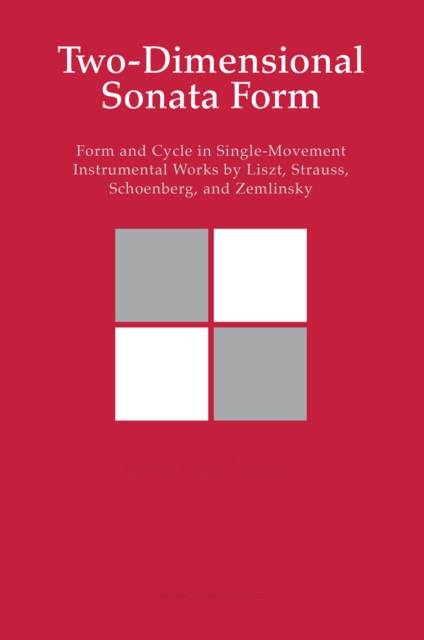 Two-Dimensional Sonata Form : Form and Cycle in Single-Movement Instrumental Works by Liszt, Strauss, Schoenberg and Zemlinsky, Paperback / softback Book