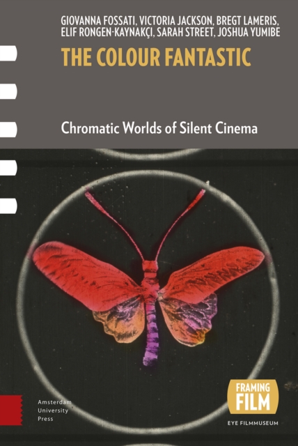 The Colour Fantastic : Chromatic Worlds of Silent Cinema, Paperback / softback Book